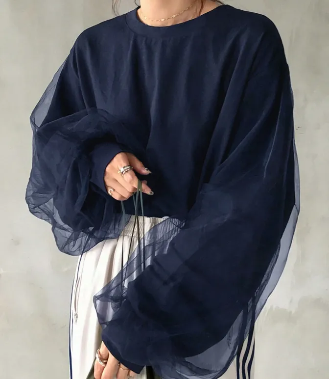 Chic Sheer Sleeve Sweatshirt
